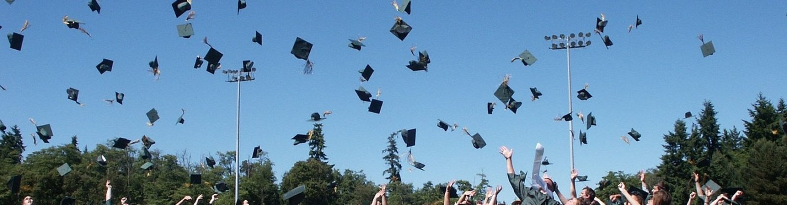 graduation, teen, high school, student, graduate, diploma, success, achievement, cap, education, graduation, graduation, graduation, graduation, graduation, graduate